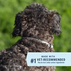 PetArmor Extend Flea & Tick Collar for Dogs, 1 Collar (8-mos. supply), up to 18 lbs slide 2 of 9