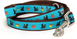 The Worthy Dog Squirrelly Dog Lead, Teal, Large: 5-ft long, 1-in wide