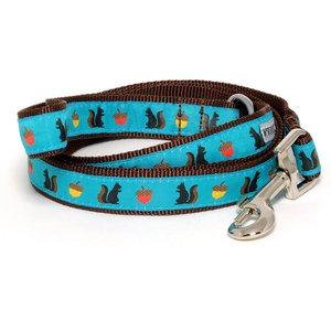 The Worthy Dog Squirrelly Dog Lead, Teal, Large: 5-ft long, 1-in wide