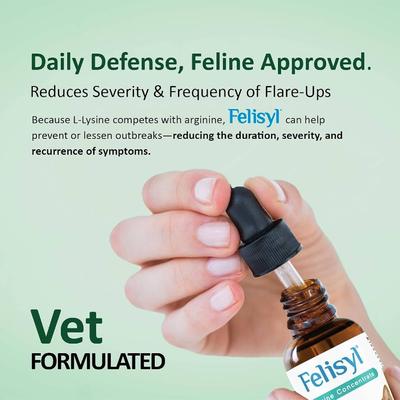 Show full view: Felisyl PLUS L-Lysine Feline Immunity Liquid Concentrate Chicken Flavor Supplement for Cats, 2-fl oz bottle slide 8 of 10