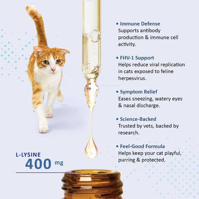 Show full view: Felisyl PLUS L-Lysine Feline Immunity Liquid Concentrate Chicken Flavor Supplement for Cats, 2-fl oz bottle slide 7 of 10