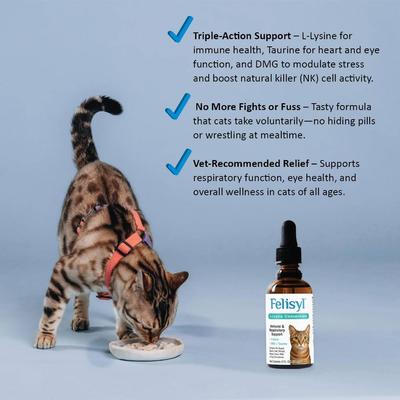 Show full view: Felisyl PLUS L-Lysine Feline Immunity Liquid Concentrate Chicken Flavor Supplement for Cats, 2-fl oz bottle slide 5 of 10