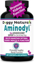 Aminodyl 400mg Capsule Kidney Support Supplement for Small Dogs & Cats, 120 count slide 1 of 9