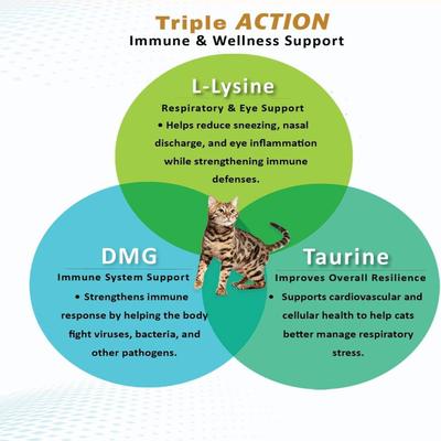 Show full view: Felisyl PLUS L-Lysine Feline Immunity Liquid Concentrate Chicken Flavor Supplement for Cats, 2-fl oz bottle slide 9 of 10