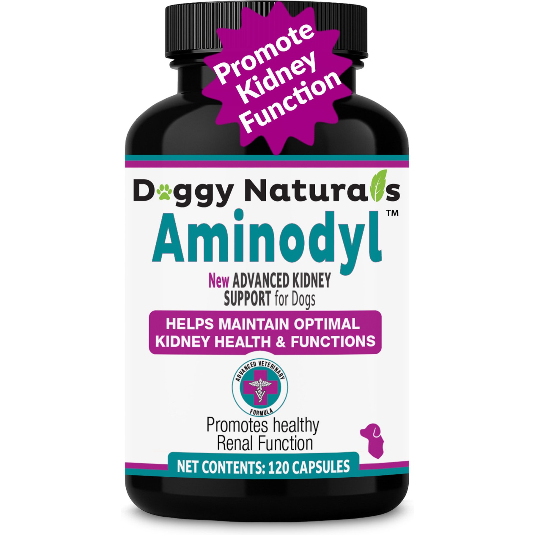 Aminodyl 1100mg Capsule Kidney Support Supplement for Dogs, 120 count