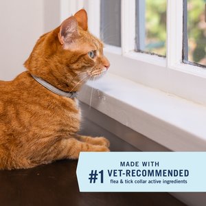 PetArmor Extend Flea & Tick Collar for Cats, 1 Collar (8-mos. supply)