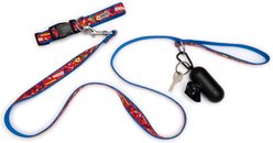 The Worthy Dog Tools Dog Lead, Red, Large: 5-ft long, 1-in wide slide 2 of 4