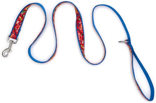 Show full view: The Worthy Dog Tools Dog Lead, Red, Small: 5-ft long, 5/8-in wide slide 3 of 4