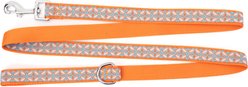 The Worthy Dog Stamp Print Dog Lead, Coral, Large: 5-ft long, 1-in wide slide 2 of 3