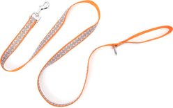 The Worthy Dog Stamp Print Dog Lead, Coral, Small: 5-ft long, 5/8-in wide slide 2 of 3