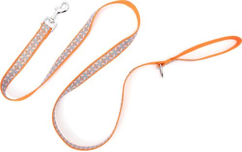 Show full view: The Worthy Dog Stamp Print Dog Lead, Coral, Large: 5-ft long, 1-in wide slide 2 of 3