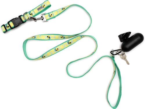 Show full view: The Worthy Dog Lemons Dog Lead, Mint Green, Small: 5-ft long, 5/8-in wide slide 4 of 4