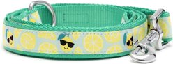 The Worthy Dog Lemons Dog Lead, Mint Green, Large: 5-ft long, 1-in wide slide 1 of 4