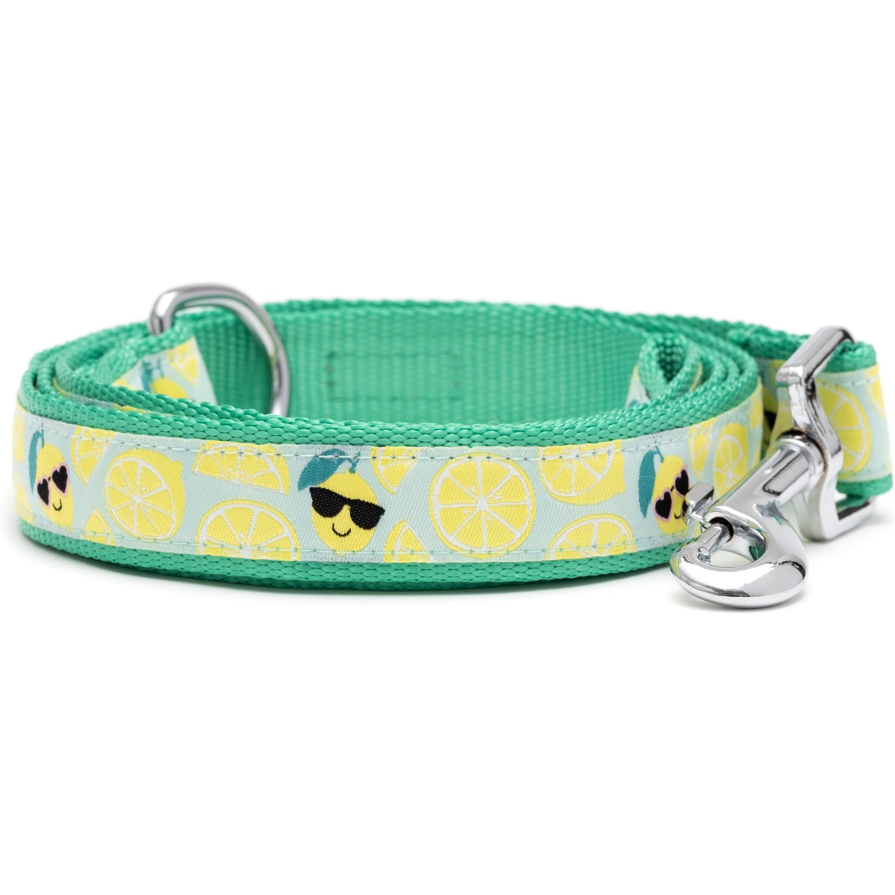 The Worthy Dog Lemons Dog Lead, Mint Green, Small: 5-ft long, 5/8-in wide
