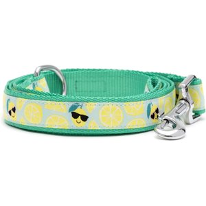 The Worthy Dog Lemons Dog Lead, Mint Green, Large: 5-ft long, 1-in wide