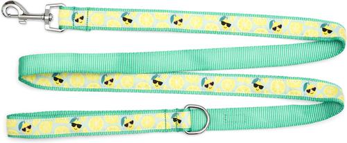 Show full view: The Worthy Dog Lemons Dog Lead, Mint Green, Small: 5-ft long, 5/8-in wide slide 2 of 4