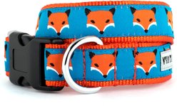 The Worthy Dog Foxy Dog Collar, Blue, Small: 8 to 14-in neck, 5/8-in wide