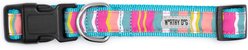 The Worthy Dog Fiesta Stripe Dog Collar, Teal Multicolored, Medium: 11 to 17-in neck, 1-in wide slide 2 of 3