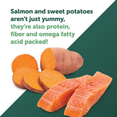 Show full view: Healthfuls Salmon & Sweet Potato Grain-Free Soft & Chewy Dog Treats, 5-oz bag slide 7 of 8