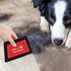 Pet Republique Pet Fur Removing Tool for Carpets & Upholstery, Black/Red
