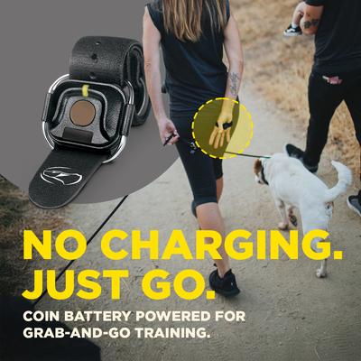 Show full view: Dogtra Handsfree Square Training Dog Collar Transmitter slide 6 of 9