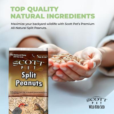 Show full view: SCOTT PET Split Peanuts Seed Wild Bird Seed, 8-lb bag slide 4 of 8