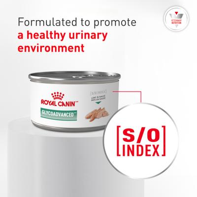 Show full view: Royal Canin Veterinary Diet Glycoadvanced Adult Loaf in Sauce Wet Cat Food, 5.1-oz can, pack of 6 slide 5 of 10