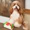 Show in main carousel: CHEWFFON Burrito Interactive Enrichment Crinkle Treat Puzzle Plush Dog Toy, White slide 6 of 7