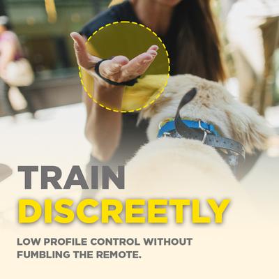 Show full view: Dogtra Handsfree Square Training Dog Collar Transmitter slide 5 of 9