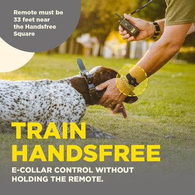 Show full view: Dogtra Handsfree Square Training Dog Collar Transmitter slide 2 of 9