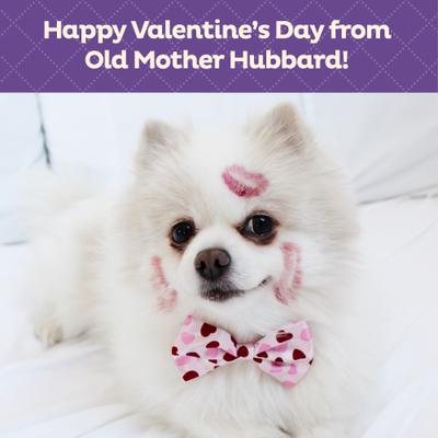 Show full view: Old Mother Hubbard Bits of Love P-Nuttier Dog Treats, 6-oz bag slide 6 of 10