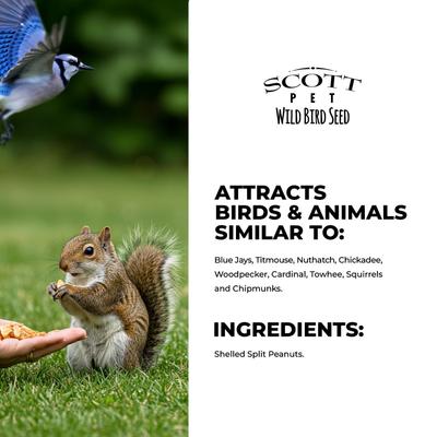 Show full view: SCOTT PET Split Peanuts Seed Wild Bird Seed, 8-lb bag slide 5 of 8