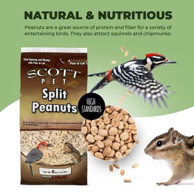 Show full view: SCOTT PET Split Peanuts Seed Wild Bird Seed, 8-lb bag slide 2 of 8