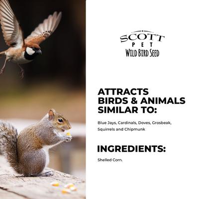 Show full view: SCOTT PET Shell Corn Seed Jay Wild Bird Food, 11-lb bag slide 5 of 8