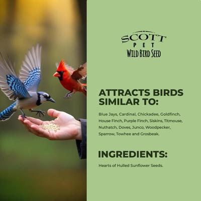 Show full view: SCOTT PET Sunflower Hearts Seed Cardinal Wild Bird Food, 8-lb bag slide 5 of 8