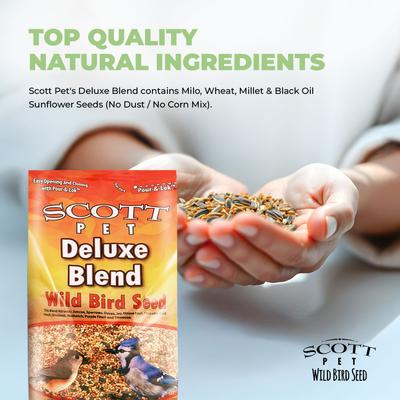 Show full view: SCOTT PET Deluxe Blend Seed Jay Wild Bird Food, 11-lb bag slide 4 of 7