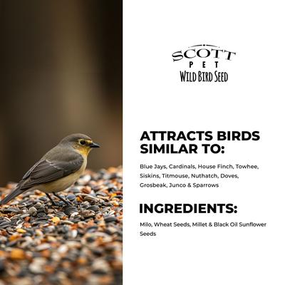 Show full view: SCOTT PET Deluxe Blend Seed Jay Wild Bird Food, 11-lb bag slide 5 of 7