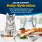 Show in main carousel: Blue Buffalo Tastefuls Irresistible Gravy Experience Chicken & Brown Rice Recipe Dry Cat Food, 3-lb bag slide 9 of 10