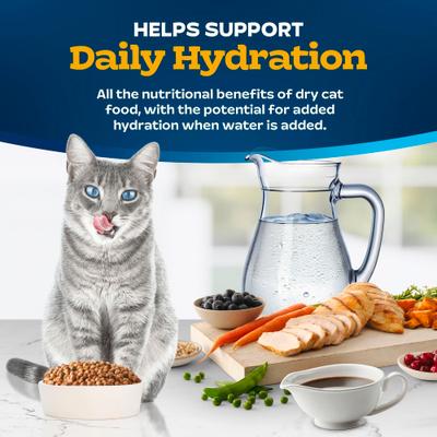 Show full view: Blue Buffalo Tastefuls Irresistible Gravy Experience Chicken & Brown Rice Recipe Dry Cat Food, 3-lb bag slide 9 of 10