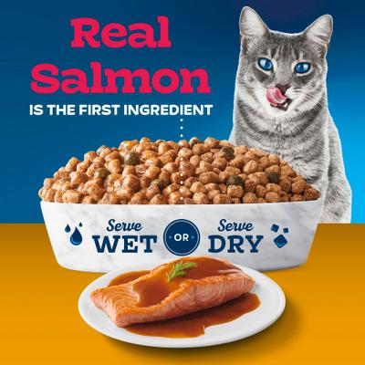 Show full view: Blue Buffalo Tastefuls Irresistible Gravy Experience Salmon & Brown Rice Recipe Dry Cat Food, 5-lb bag slide 4 of 10