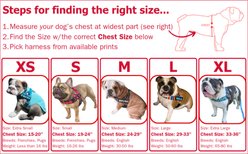 BullHug Adjustable No Choke Dog Harness, Caution, Small: 19 to 24-in chest slide 2 of 8