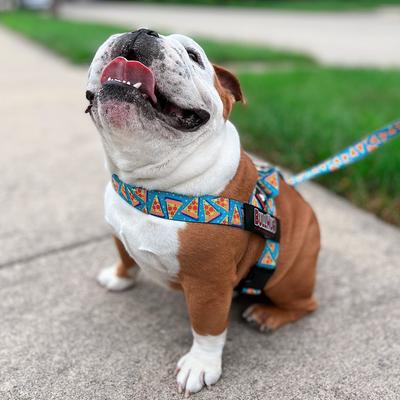 Show full view: BullHug Adjustable No Choke Dog Harness, Pizza, Large: 29 to 33-in chest slide 4 of 9