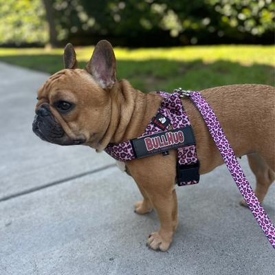 Show full view: BullHug Adjustable No Choke Dog Harness, Pink Leopard, Small: 19 to 24-in chest slide 5 of 10