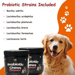 Lucky Kare Probiotic Chicken Flavored Soft Chew Supplement for Dogs & Cats, 120 Count slide 2 of 6