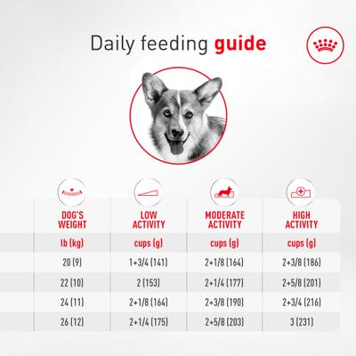 Show full view: Royal Canin Breed Health Nutrition Corgi Adult Dry Dog Food, 7-lb bag slide 9 of 10