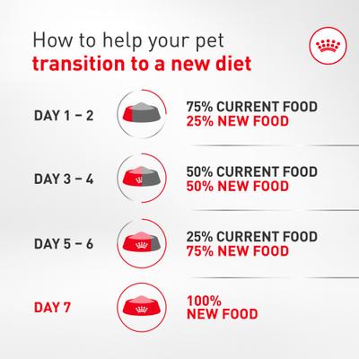 Show full view: Royal Canin Breed Health Nutrition Corgi Puppy Dry Dog Food, 6-lb bag slide 5 of 10