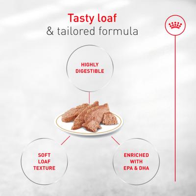 Show full view: Royal Canin Breed Health Nutrition French Bulldog Loaf in Sauce Wet Dog Food, 3-oz can, pack of 24 slide 3 of 5