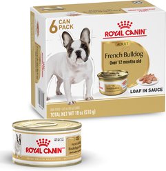 Royal Canin Breed Health Nutrition French Bulldog Loaf in Sauce Wet Dog Food, 3-oz can, pack of 6