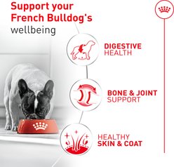 Royal Canin Breed Health Nutrition French Bulldog Loaf in Sauce Wet Dog Food, 3-oz can, pack of 24 slide 2 of 4