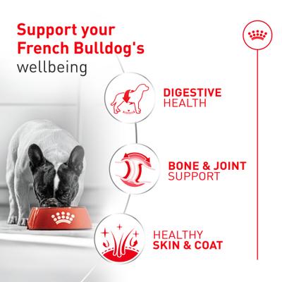 Show full view: Royal Canin Breed Health Nutrition French Bulldog Loaf in Sauce Wet Dog Food, 3-oz can, pack of 24 slide 4 of 5